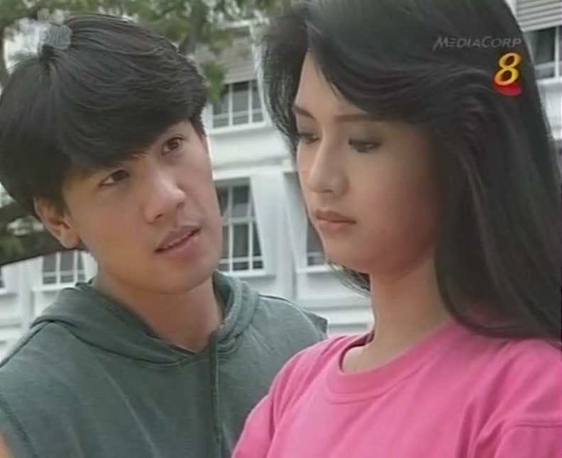 新加坡老电视剧推荐经典,近二十年新加坡经典电视剧