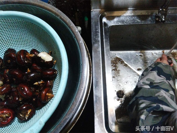 和荸荠口感相似的水生植物,荸荠农业种植