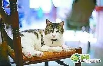 6个有趣奇闻异事保证你没听过,世界奇闻异事大全集