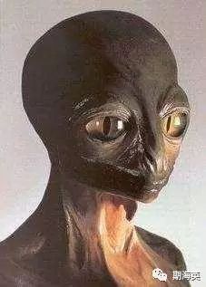 6个有趣奇闻异事保证你没听过,世界奇闻异事大全集