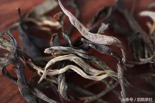 普洱茶鉴赏收藏册,古六大茶山的口感特点