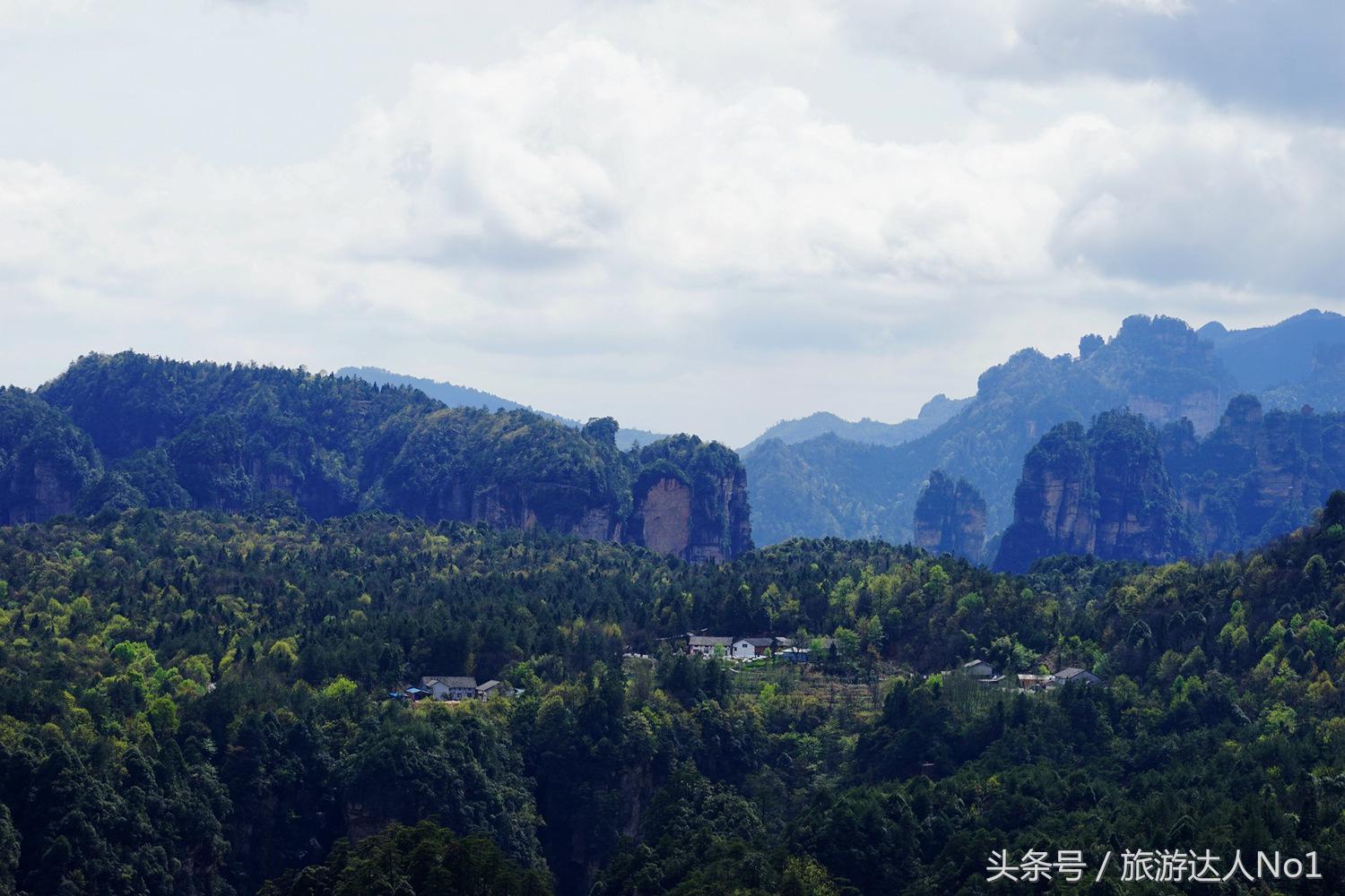 游记张家界8天旅游详细攻略,张家界天门山森林公园美景游记