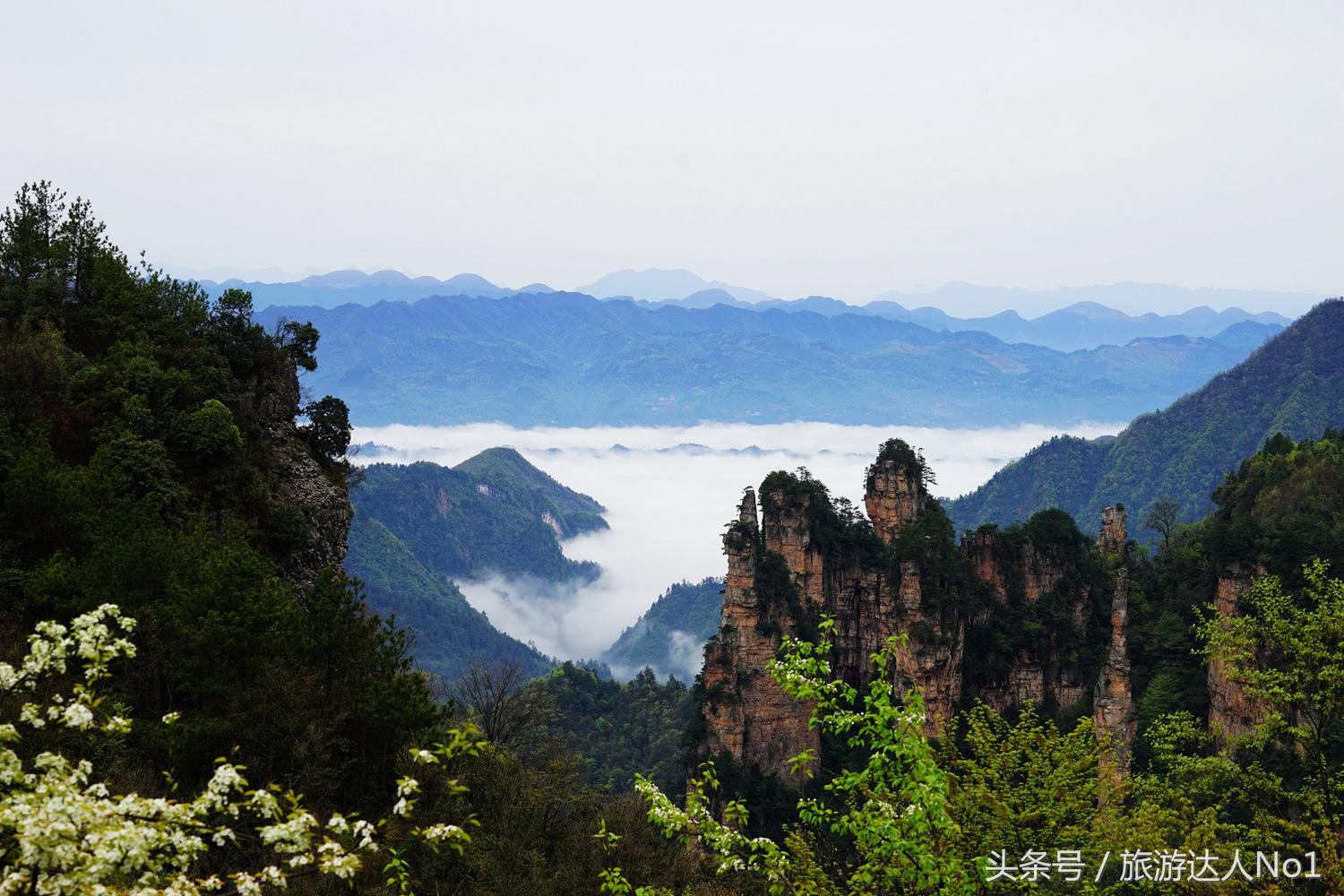 游记张家界8天旅游详细攻略,张家界天门山森林公园美景游记