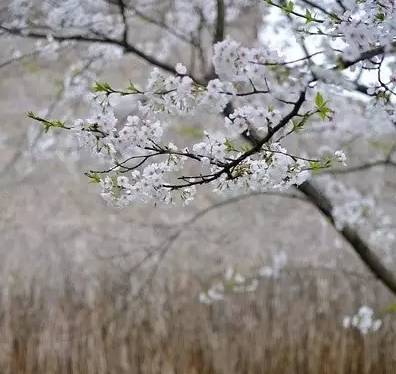 这份成语分类大全替孩子存下吧,成语分类积累整理大全