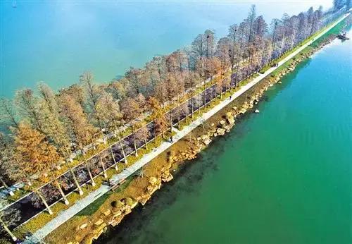 尖叫吧原版视频,尖叫吧视频完整版