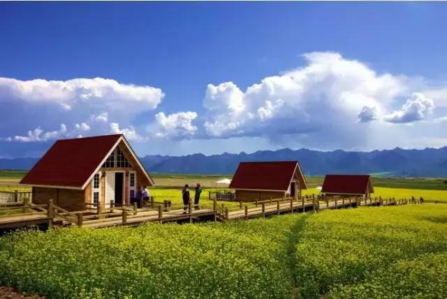 尖叫吧结局,尖叫吧完整版免费观看