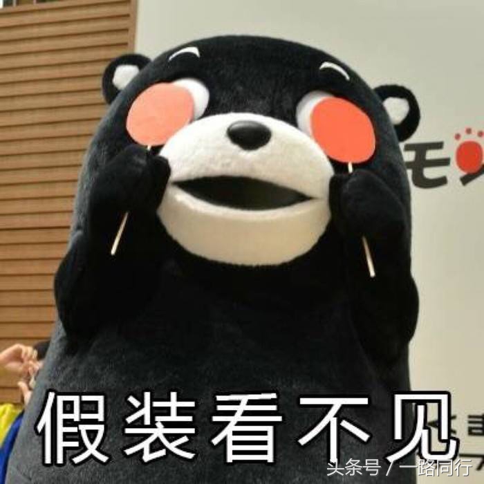 旅游如何做到互相尊重,旅游被区别对待