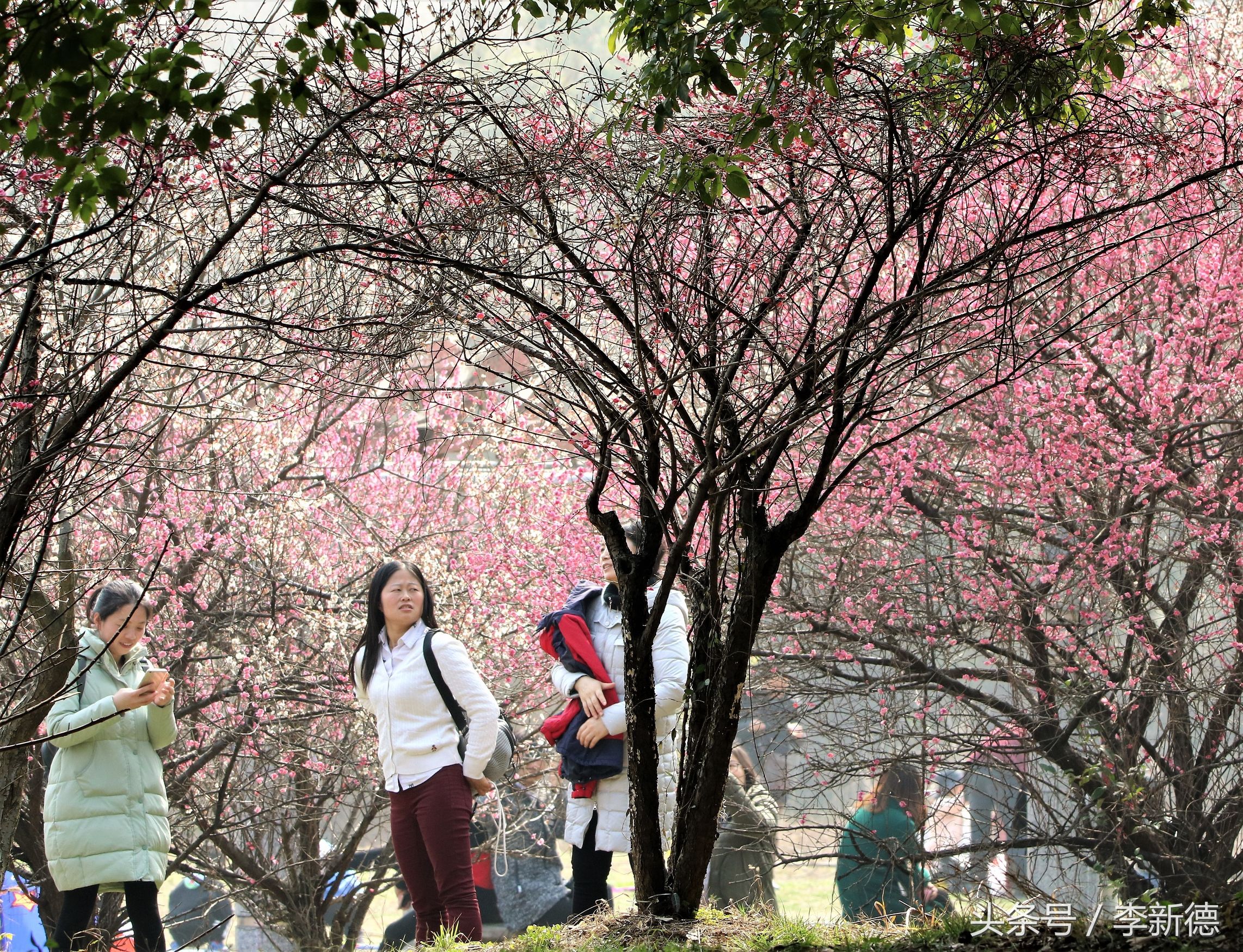 合肥翡翠心形湖,合肥最大翡翠湖