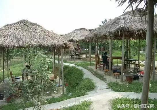 柳州附近农庄适合小孩玩,柳州周边农庄场地推荐