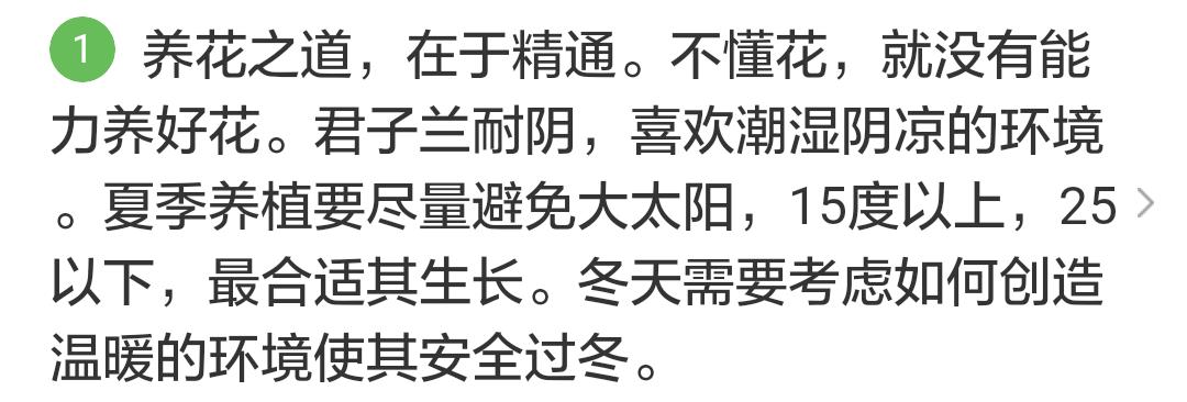 君子兰掉的小根能繁殖吗,君子兰繁殖不分盆好看吗