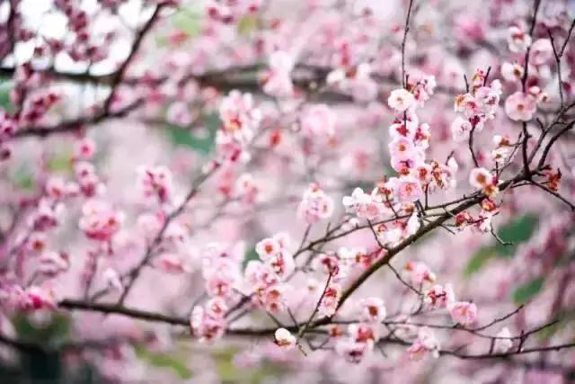 尖叫吧原版视频,尖叫吧视频大全