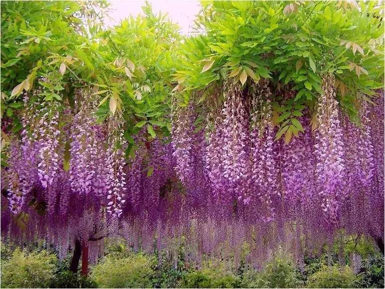 宁波情侣游玩约会好去处,宁波约会一日游