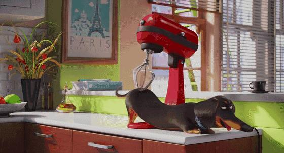 这些猫狗男女都爱看