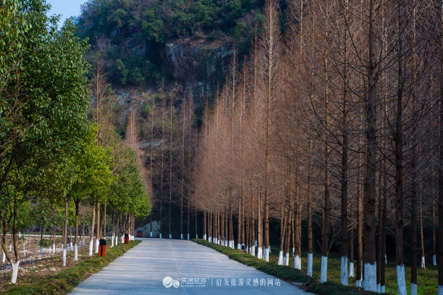 跟着镜头领略震撼心灵的景色,跟随镜头观人文与美景