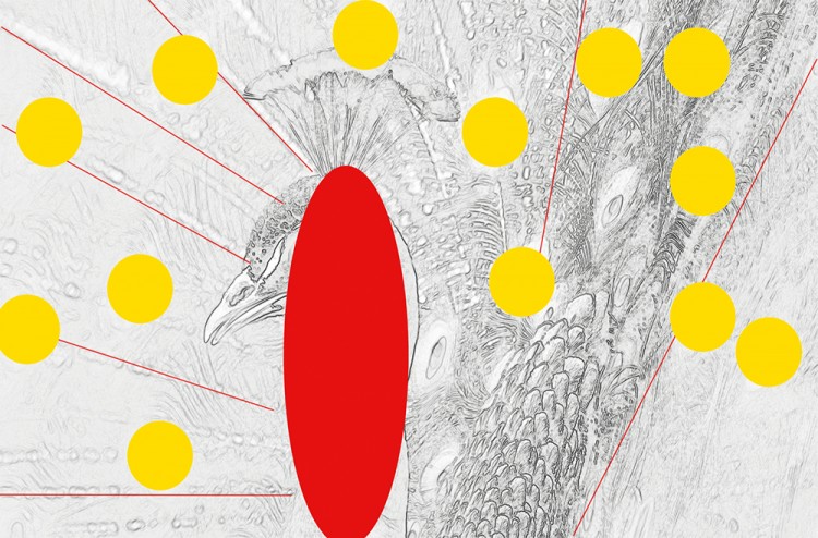 西双版纳从下飞机开始的攻略,进入西双版纳的视频
