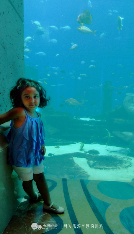 迪拜海洋馆房间,迪拜海底世界