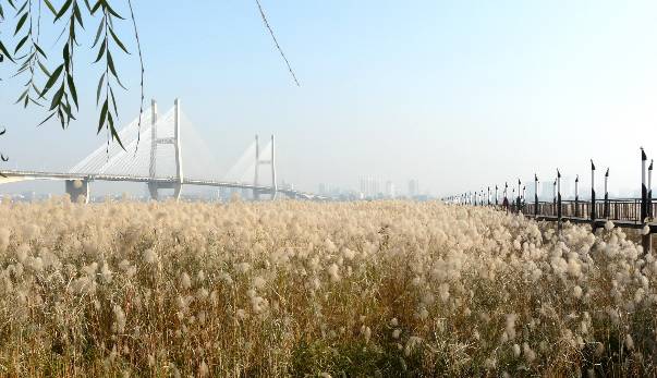 央视推荐长江十大旅游线路视频,中国十大热门旅游线路