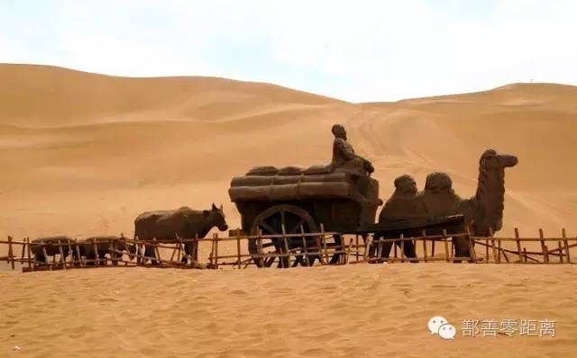 新疆鄯善骆驼,鄯善的骆驼