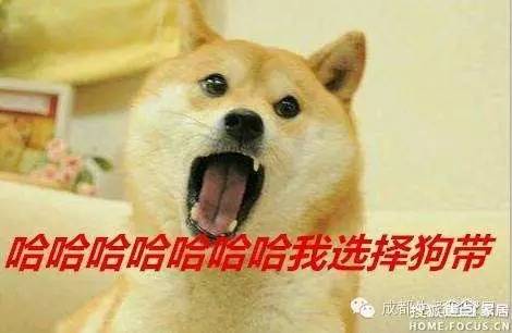 gucci鍝鍋滀骇,guccilv鍗栦笉鎺夌殑澶х墝琛ｆ湇