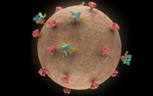 艾滋病治愈性疫苗,彻底治愈艾滋病的疫苗的最新进展