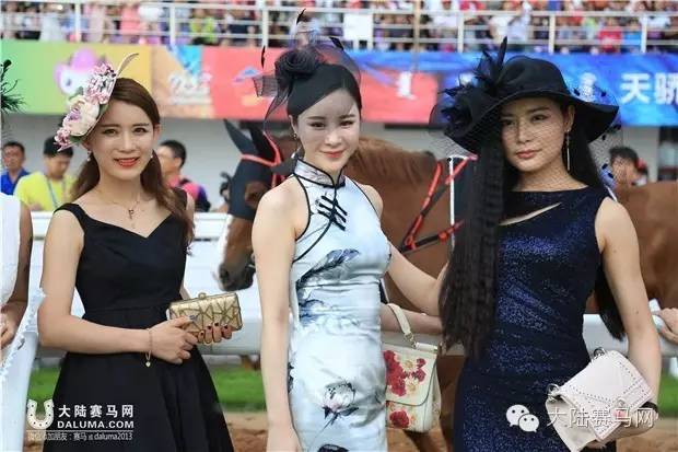 岂止比赛，更是盛会—2016内蒙古鄂尔多斯国际驭马文化节成功举办