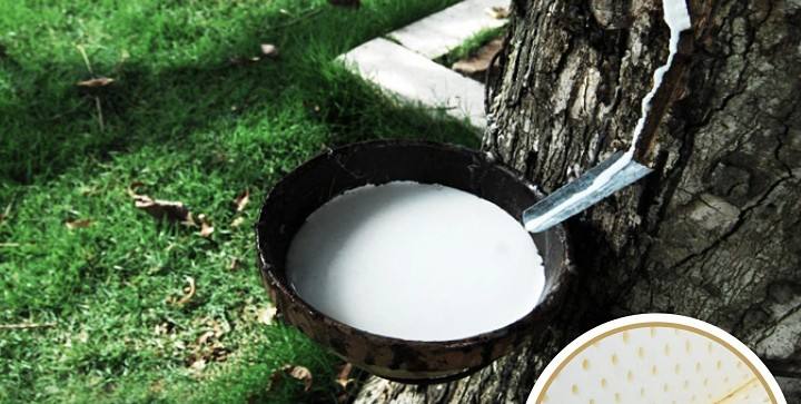 上海旅游买的乳胶枕头,海南旅游买的乳胶枕头是灰色的