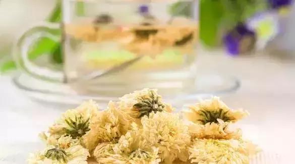 刘虎岐：想要种中草药赚钱，你先得了解它们！