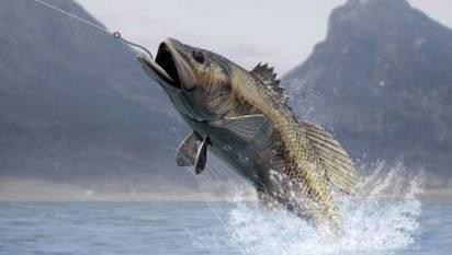 一些常见的溜鱼技巧和方法