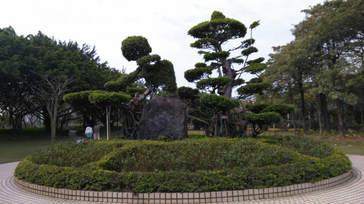 厦门筼筜湖全景,厦门筼筜湖最好的地方