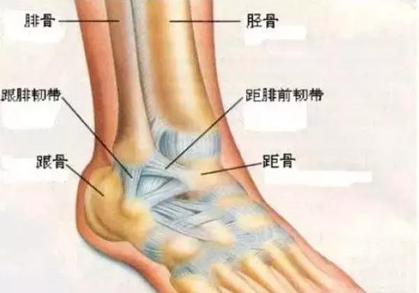 脚扭伤了最好的处理方法,脚扭伤了正确的处理步骤文字