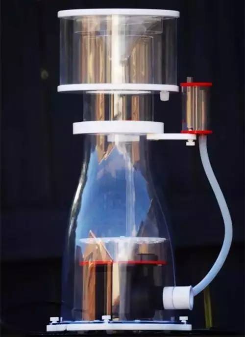 听说关于蛋分，你还在被忽悠？