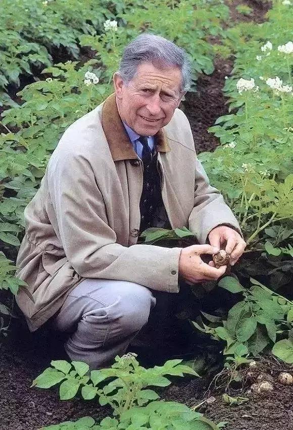 待位64年的王子，花30年将450万㎡荒地打造成世界最美庄园