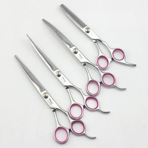 贵宾犬怎么饲养,贵宾犬如何饲养好