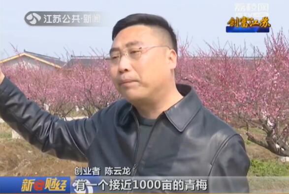 创富江苏:“梅”好生活创出来