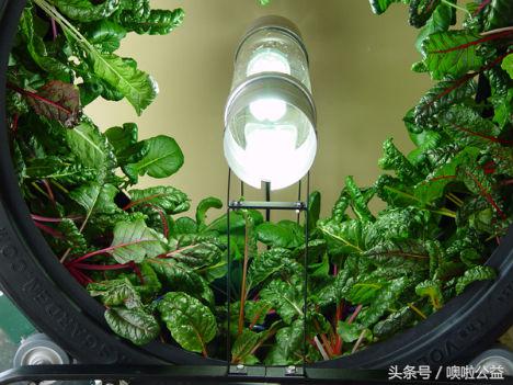 全国独一无二的环保新产品,现代新发明的环保产品