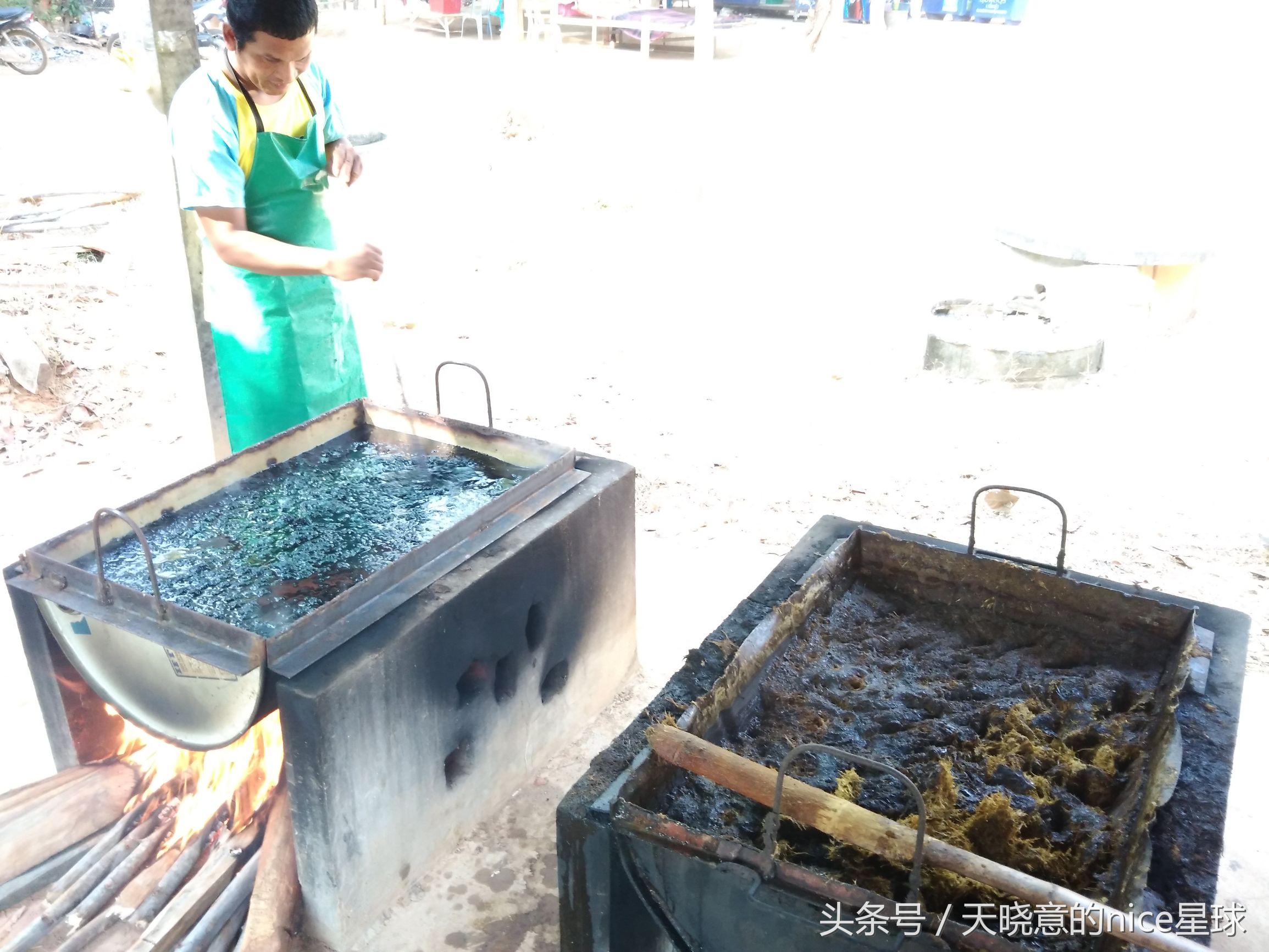 泰国大象旅行记,泰国旅游跟大象近距离接触