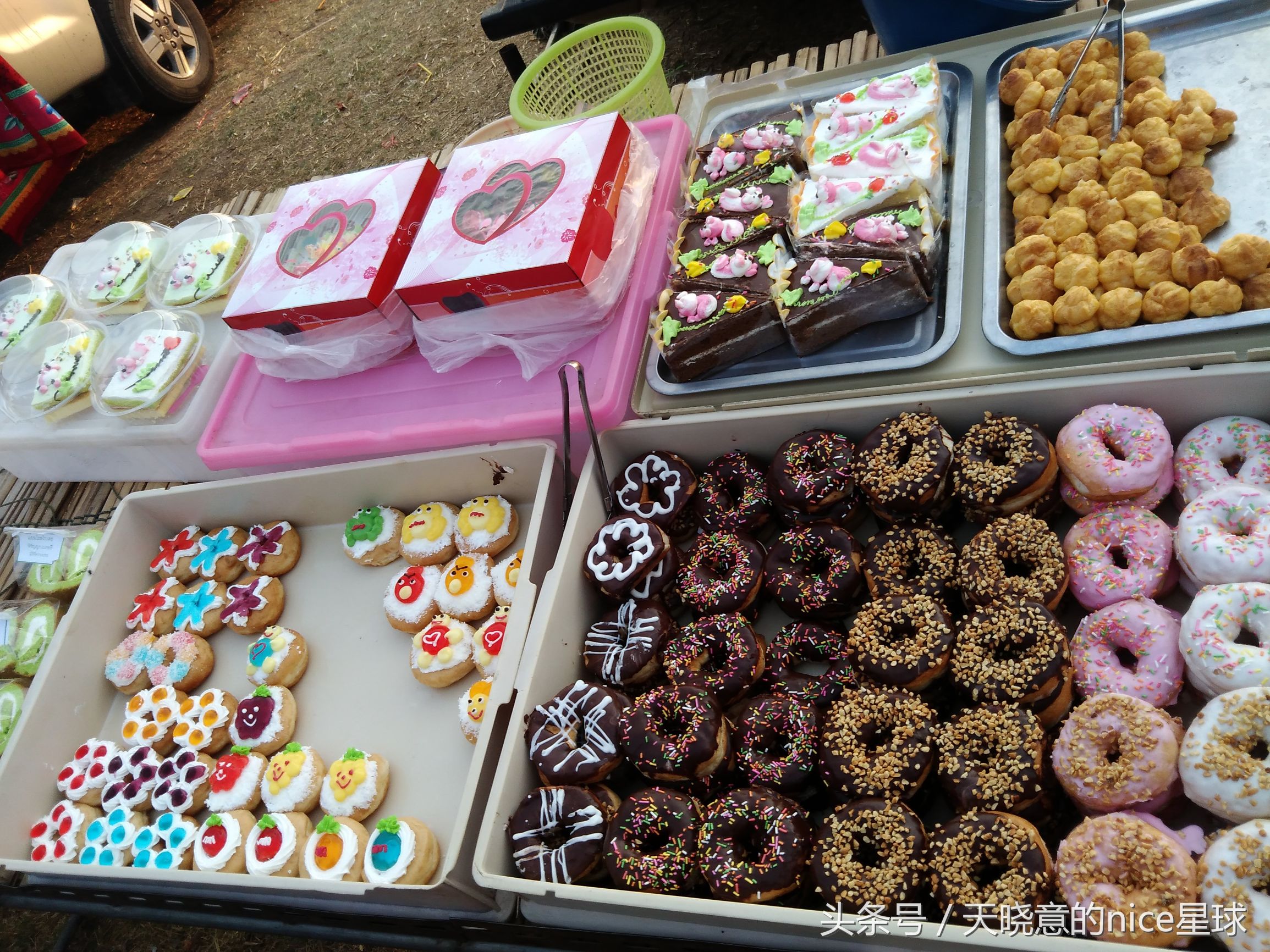 泰国大象旅行记,泰国旅游跟大象近距离接触