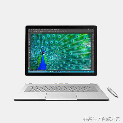 纳尼！数码还能看出型男类别？