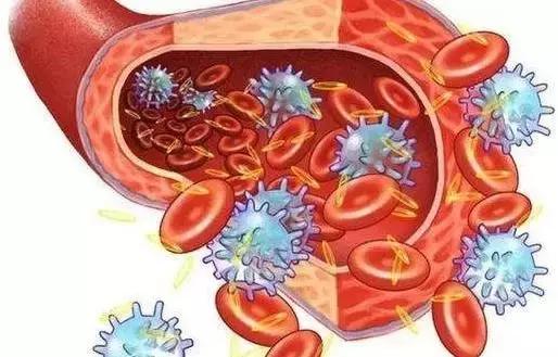 血小板减少性紫癜是大病吗好治吗,血小板减少紫癜是什么病能治好吗