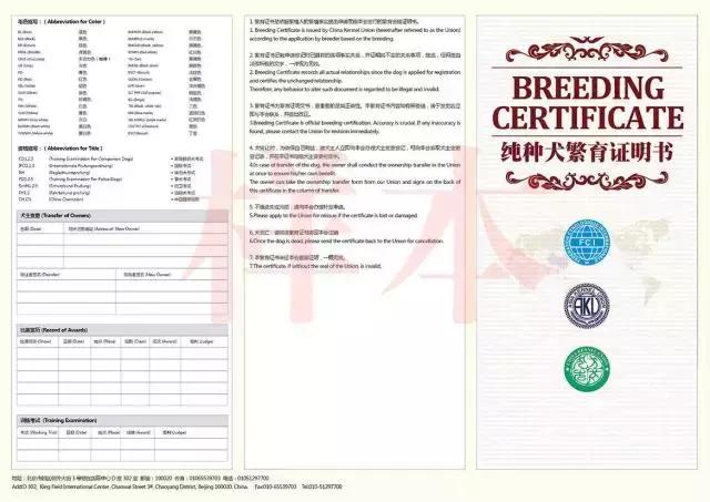 狗狗打比赛项目有哪些,狗狗比赛都有什么项目