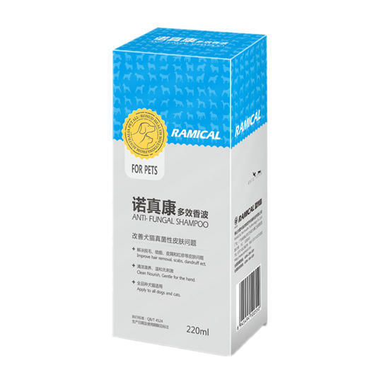 贵宾犬怎么饲养,贵宾犬如何饲养好