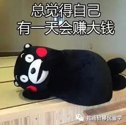 澳洲打工旅行需要什么条件,澳洲打工旅行的经历