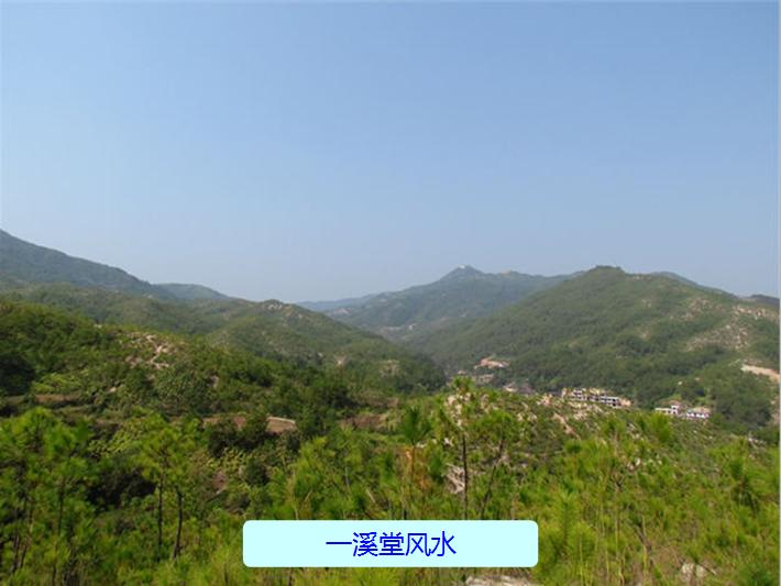 有图有真相原句,有图有真相正能量