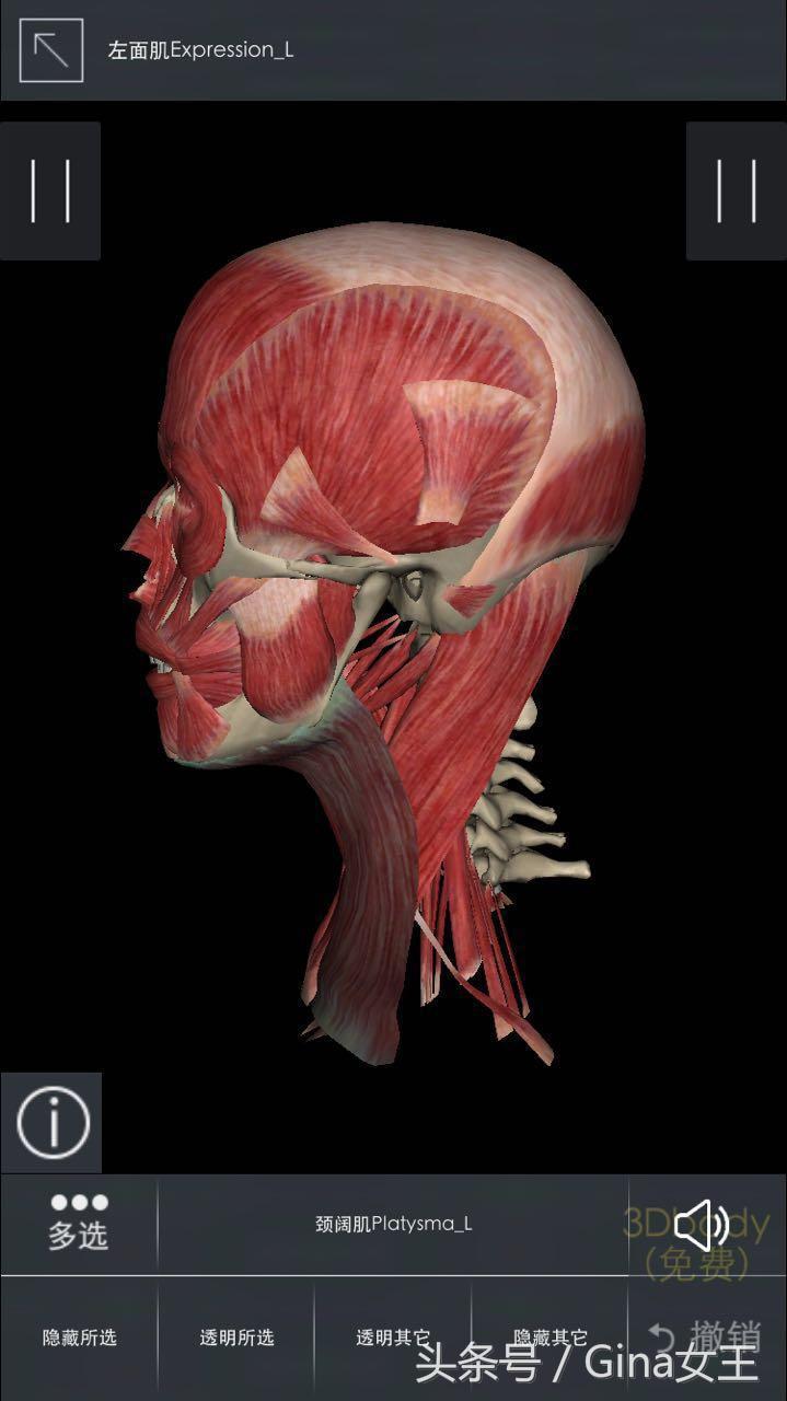 低头族脖子弯了怎么矫正,低头族脖子僵硬训练缓解