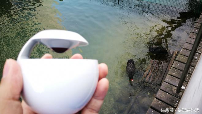 华为小天鹅音响可以改装吗,小天鹅音响华为