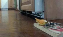 后面的那个小胖子，知道你很可爱，快走开我还要拍照呢！