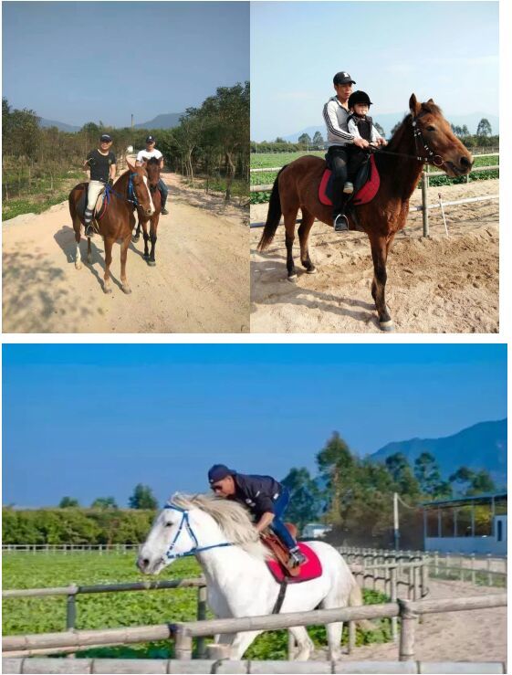 田野音乐会空降清逸园,花海与音乐,约不约?