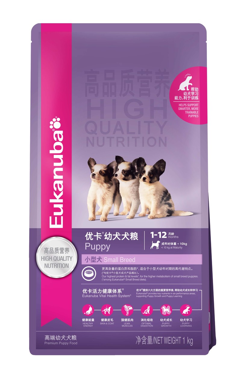 选好狗狗的六种技巧,挑选好狗狗