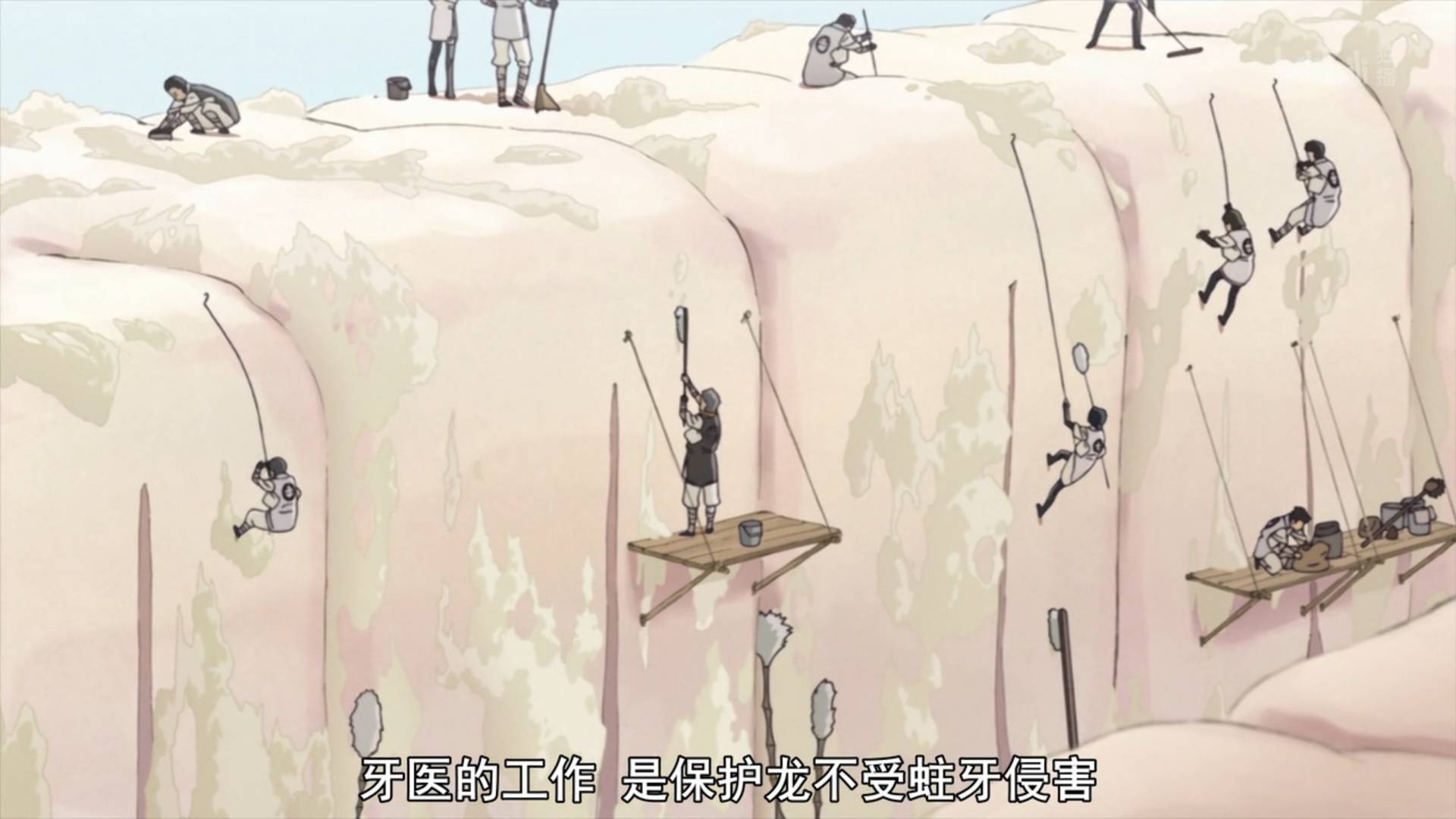 S1专楼｜不会打架还敢说自己是牙医？