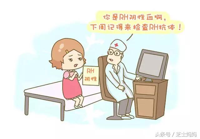 熊猫血和啥血型正常生娃,熊猫血生二胎真的难吗